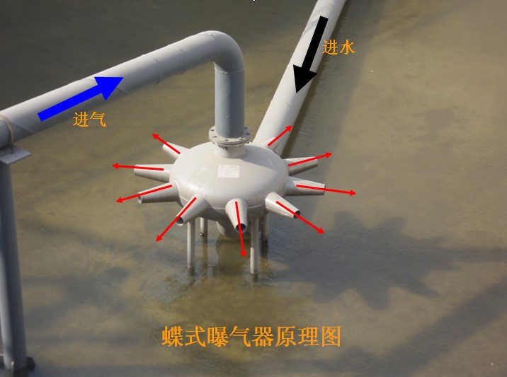 弗雷德环保